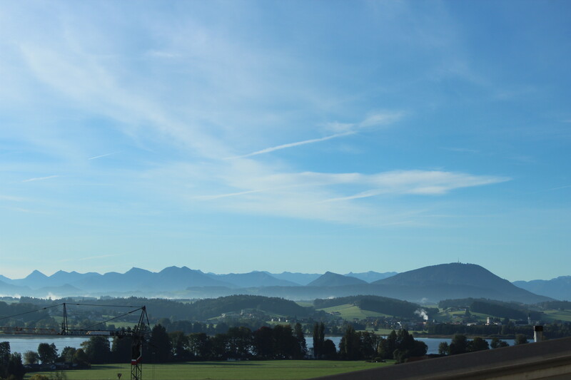 img 8845