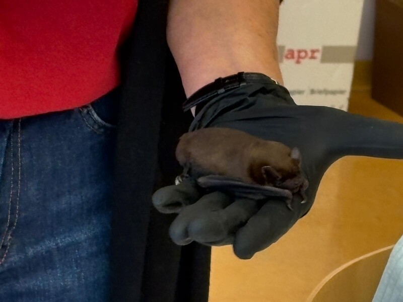 photo 2025 10 02 16 39 25