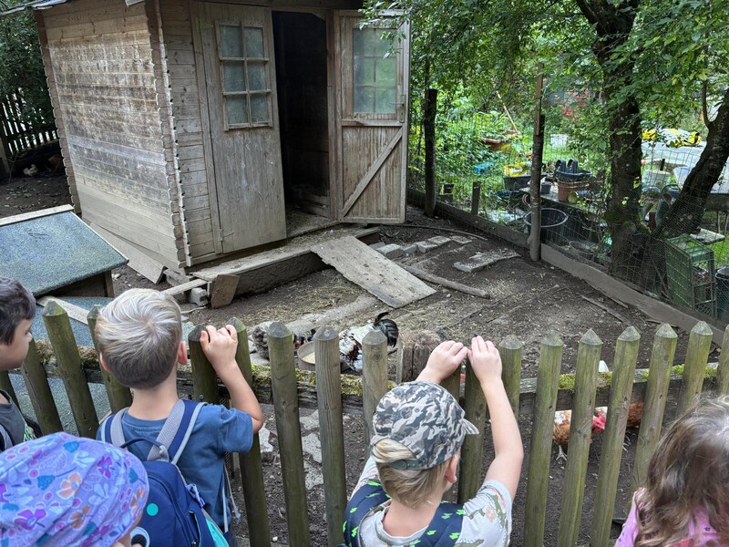 photo 2025 10 02 16 23 57 12