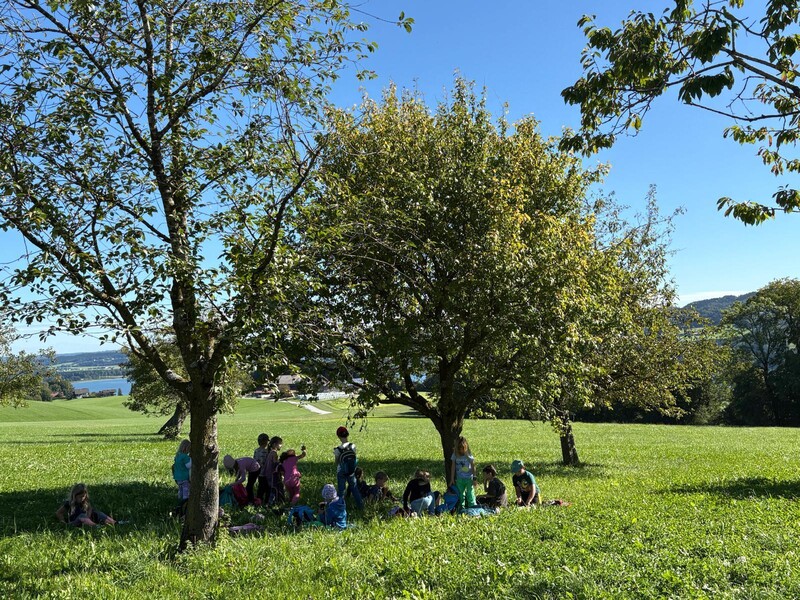 photo 2025 10 02 16 23 57 14