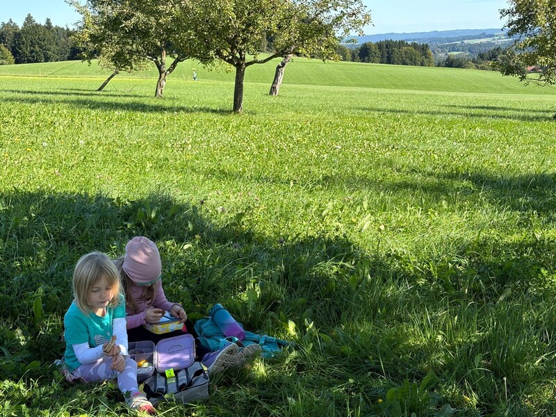 photo 2025 10 02 16 23 57 16