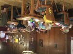 k-img_5317