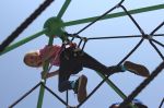 k-img_7773_-_kopie